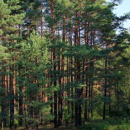Apartamentai Laima Druskieniki Zewnętrze zdjęcie